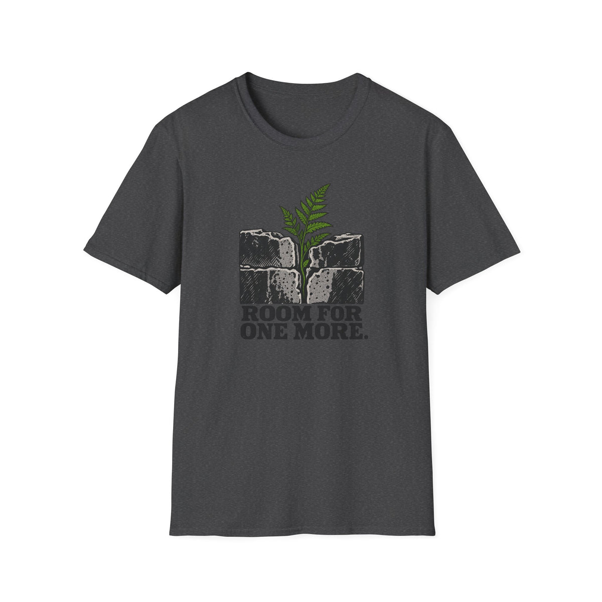 Room For One More T-Shirt