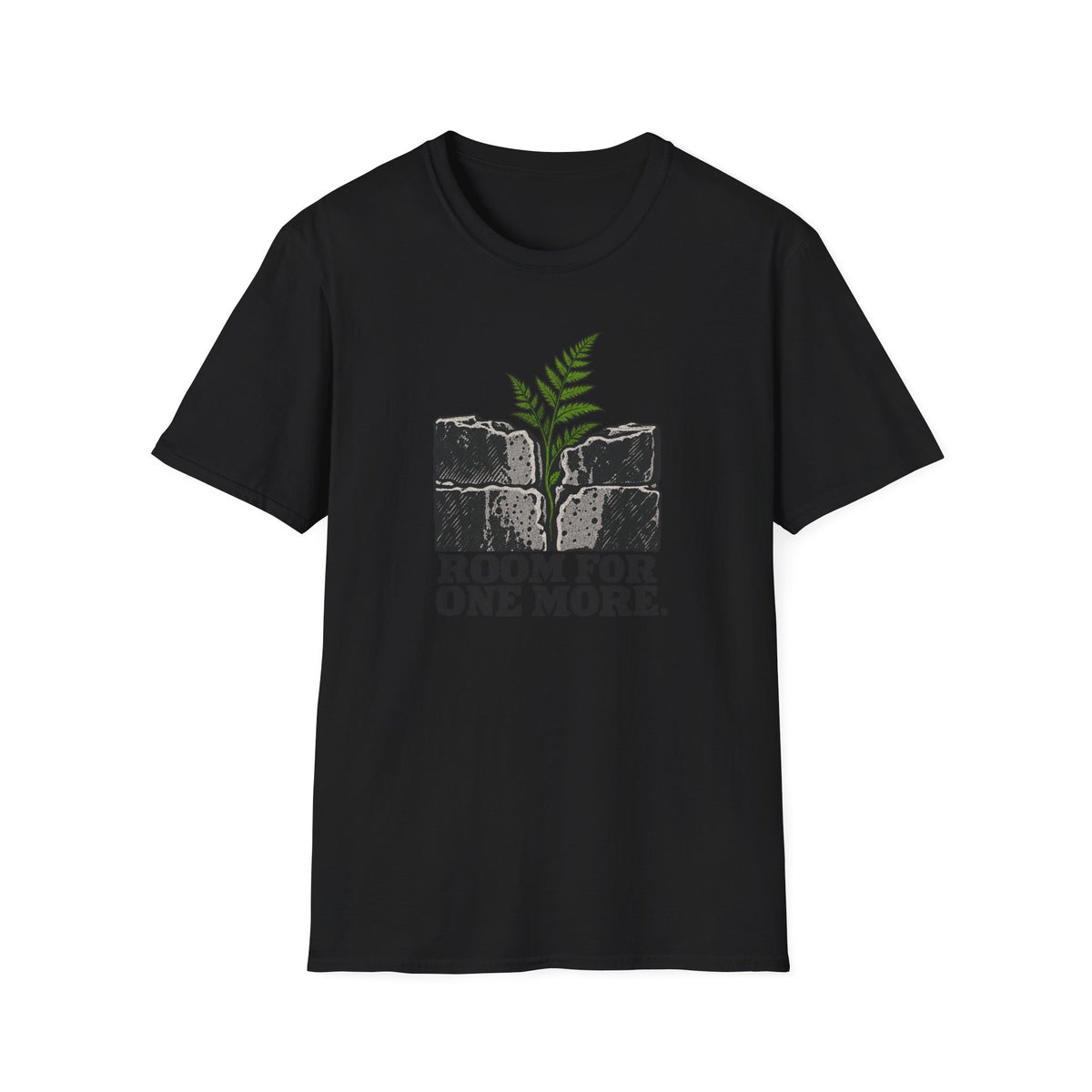 Room For One More T-Shirt